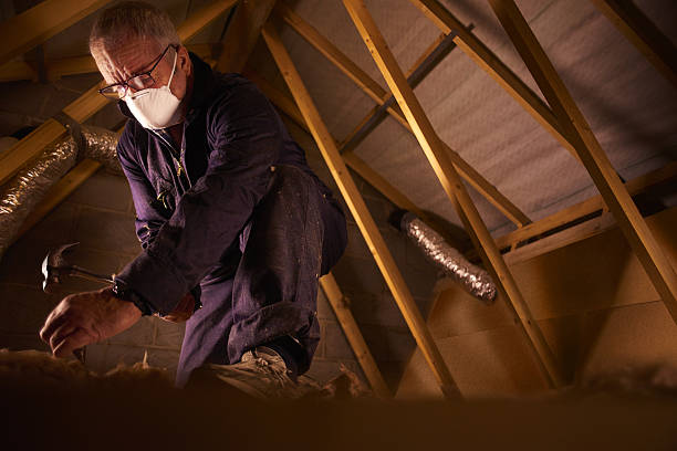 Best Insulation for Specific Applications in Coing, AL